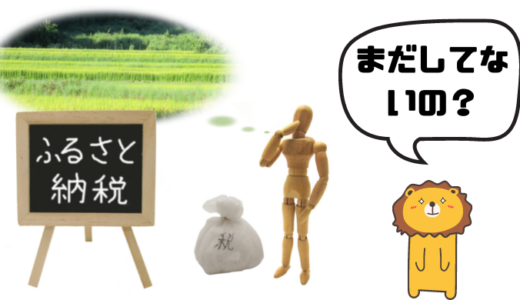 ふるさと納税まだしてないの？たった1割の人が得をしているふるさと納税の仕組み【2023年最新版】<hr size=